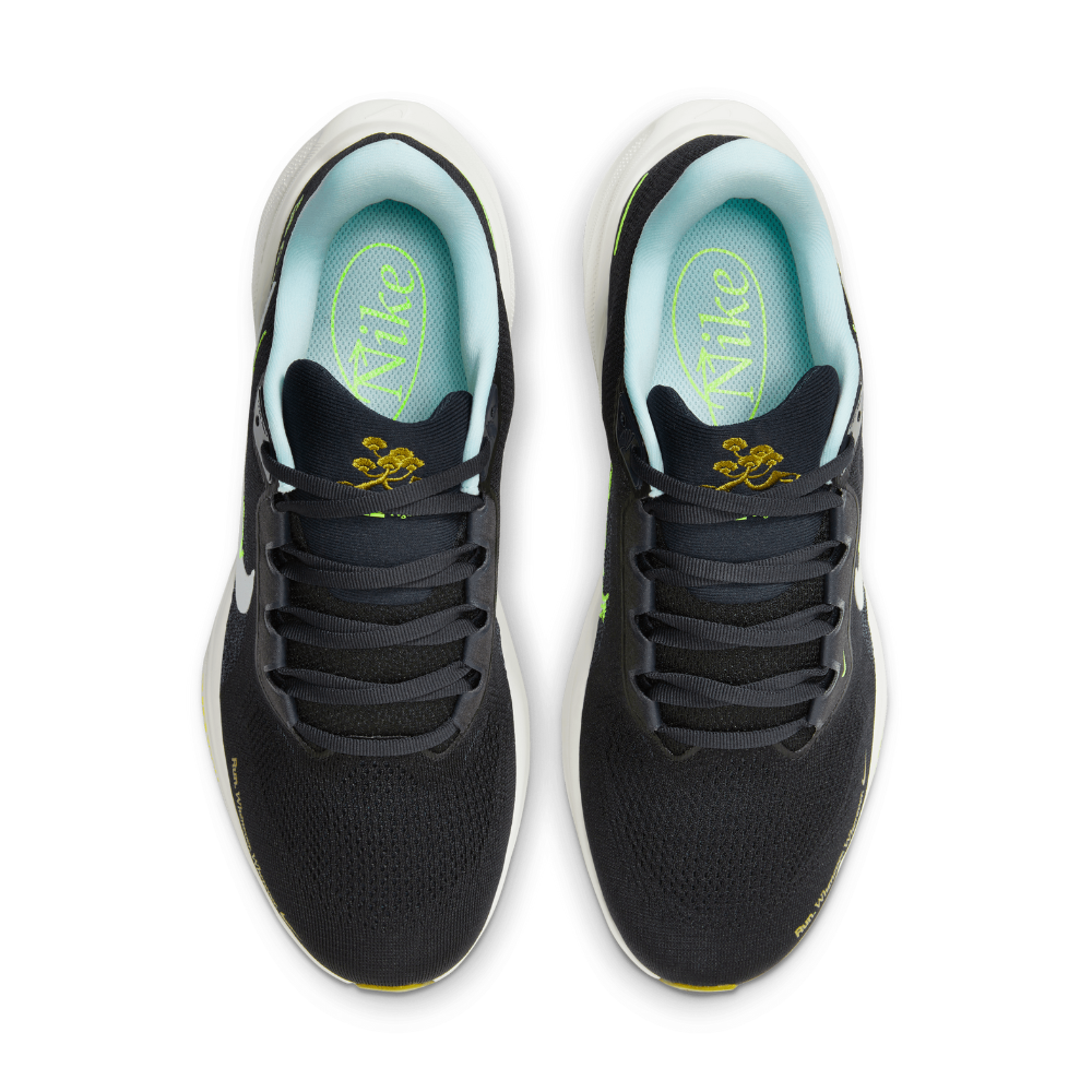 Pegasus 41 Men's :Black | Glacier Blue