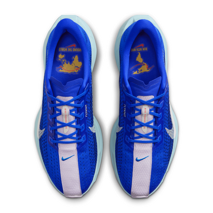 Pegasus Plus Men's :Racer Blue | Blue Void