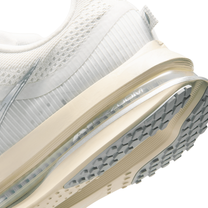 Pegasus Premium Men's :Platinum Tint | Reflect Silver