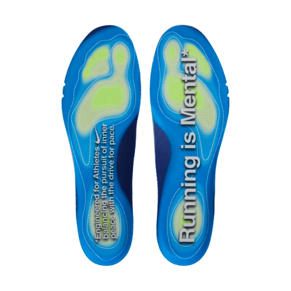 Pegasus Premium Men's :Platinum Tint | Reflect Silver